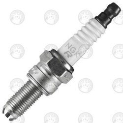 CANDELA SPARK PLUG  NGK CR7EKB