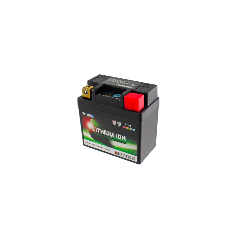 BATTERIA SKYRICH LITIO LFP01