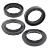 Kit Paraoli mm 38 X 52 X 11 + Parapolvere Forcella All Balls