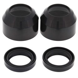 Kit Paraoli mm 36 X 48 X 11 +  Parapolvere Forcella All Balls