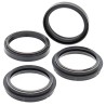 Kit Paraoli mm 48 X 58 X 8,5/10 + Parapolvere Forcella All Balls