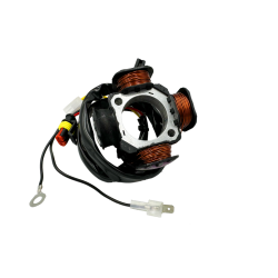 STATORE ELETTRONICO MOTOCICLI AM6 50 CON 4 POLI