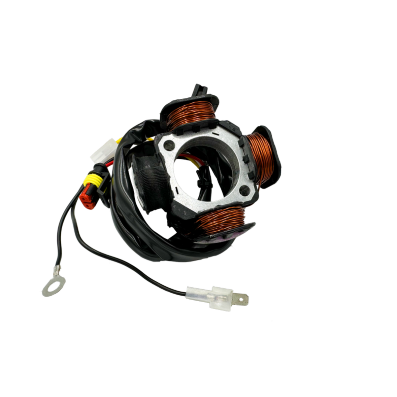 STATORE ELETTRONICO MOTOCICLI AM6 50 CON 4 POLI