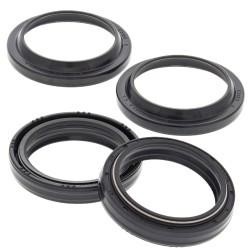 Kit Paraoli mm 41 X 53 X 8/10,5 + Parapolvere Forcella All Balls