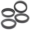 Kit Paraoli mm 47 X 58 X 10 + Parapolvere Forcella All Balls