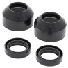 Kit Paraoli mm 30 X 42 X 11 + Parapolvere Forcella All Balls