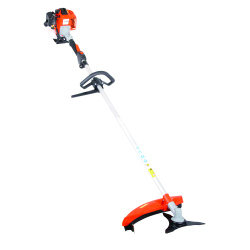 DECESPUGLIATORE TAGLIAERBA 25cc CON MOTORE 2 TEMPI - ASTA UNICA