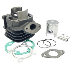 GRUPPO TERMICO 50cc MOTORI MINARELLI VERTICALE