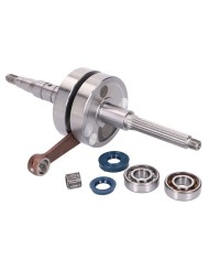9925910 ALBERO MOTORE TPR SP 10 CORSA 39,3 BIELLA 80 + CUSCINETTI MINARELLI ORIZZONTALE
