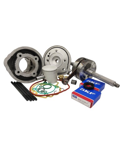 9928440 MAXI KIT D.50 TPR PER SCOOTER PIAGGIO H2O CORSA 44 BIELLA 85