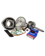 9928440 MAXI KIT D.50 TPR PER SCOOTER PIAGGIO H2O CORSA 44 BIELLA 85