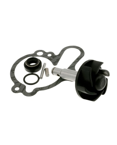 AA00789 KIT REVISIONE POMPA ACQUA MINARELLI AM6