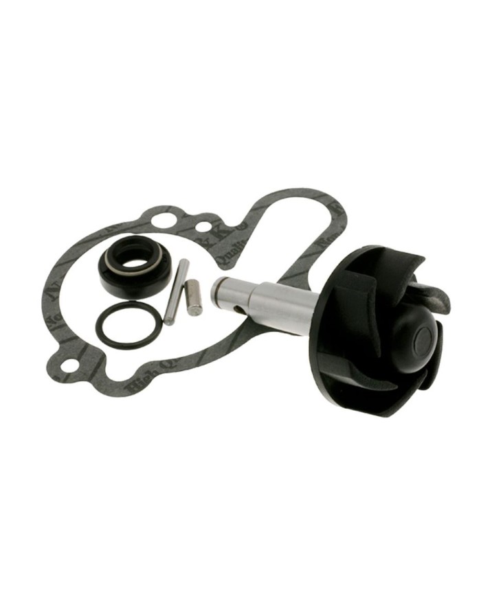 AA00789 KIT REVISIONE POMPA ACQUA MINARELLI AM6