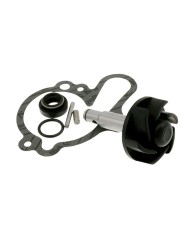 AA00789 KIT REVISIONE POMPA ACQUA MINARELLI AM6