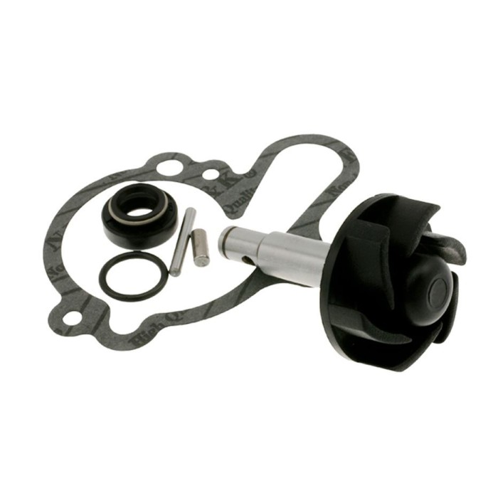 AA00789 KIT REVISIONE POMPA ACQUA MINARELLI AM6