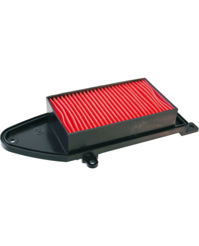 FILTRO ARIA KYMCO PEOPLE/AGILITY R16 125-150CC