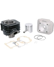 KT00088 GR. TERMICO D.47 PER MOTORE VERTICALE BOOSTER BW'S AMICO