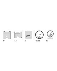 140.0183 /R KIT GRUPPO TERMICO RACING PIAGGIO QUARTZ - NRG - ZIP SP H2O D.47