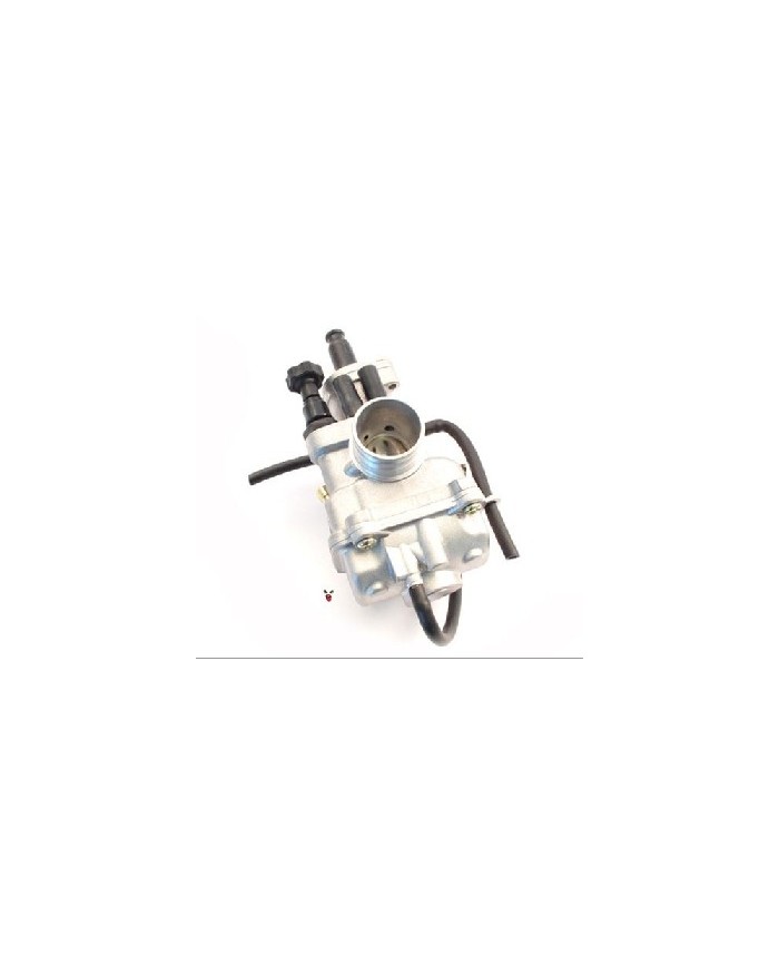 201.2100 CARBURATORE POLINI CP D.21 STARTERARIA POMELLO