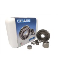 202.1321 POLINI INGRANAGGIO SECONDARIO ALLUNGATI MBK BOOSTER - APRILIA Z 14-41