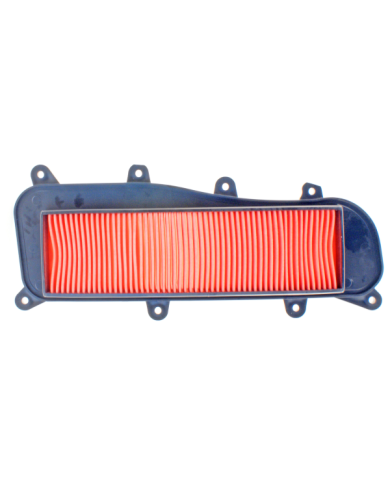 FILTRO ARIA LG MOTORS KYMCO PEOPLE GTI 125-200-300CC