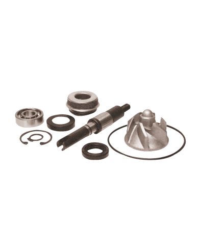 KIT REVISIONE POMPA ACQUA PER HONDA SH 125/150