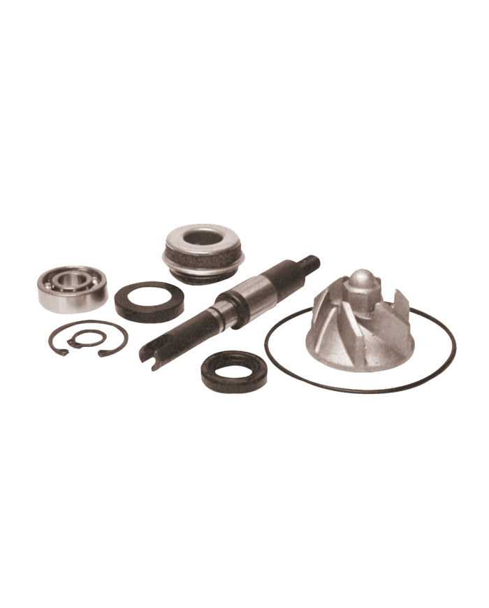 KIT REVISIONE POMPA ACQUA PER HONDA SH 125/150