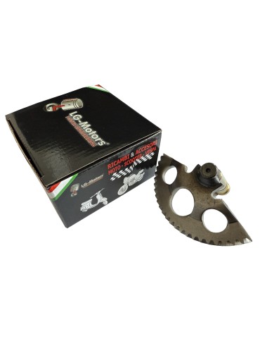 INGRANAGGIO, SETTORE MESSA IN MOTO GILERA / PIAGGIO 50CC