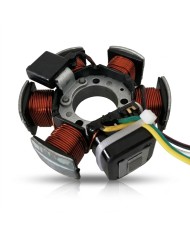 STATORE CAMPO MAGNETICO ROTORE MALAGUTI 50