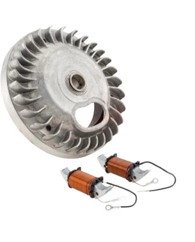 VOLANO COMPLETO CON BOBINE PIAGGIO CIAO 1665425-1218225-1218235