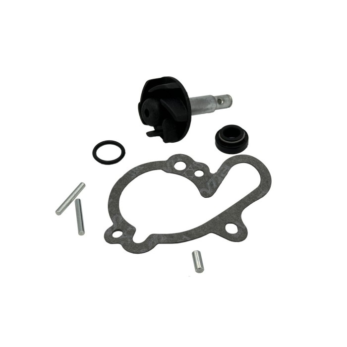 KIT REVISIONE POMPA ACQUA MOTORI MINARELLI AM6